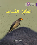 BIG CAT ARABIC - HELPER BIRD