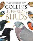 LIFE-SIZE BIRDS PLC