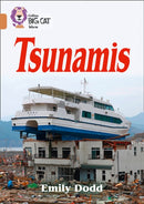 BIG CAT - TSUNAMIS