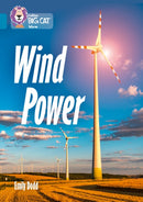 BIG CAT - WIND POWER