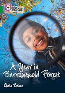 BIG CAT - BARROWSWOLD FOREST