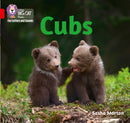 BIG CAT - CUBS AND PUPS