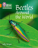 BIG CAT PHONICS - BEETLES
