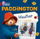 BIG CAT_PADDINGTON WEATHER