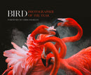 BIRD PHOTOGRAPHER OF YR HB