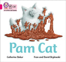 Pam Cat : Band 01b/Pink B-9780008351908