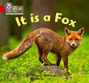 BIG CAT L&S_IT IS A FOX