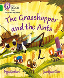 BIG CAT L&S_GRASSHO ANT