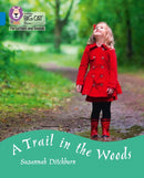 BIG CAT - A TRAIL IN THE WOODS