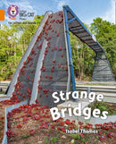 BIG CAT - STRANGE BRIDGES