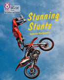 BIG CAT L&S - STUNNING STUNTS