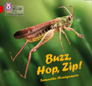 BIG CAT L&S - BUZZ, HOP, ZIP