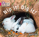 Nip it! Dig it! : Band 01b/Pink B-9780008409777