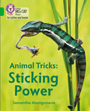 BIG CAT L&S_ANIMAL TRICKS