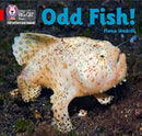 BIG CAT L&S_ ODD FISH