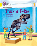 BIG CAT L&S_TRACK A T-REX