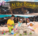 BIG CAT L&S_AT THE BEACH