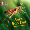 BIG CAT L&S - BUZZ HOP ZIP BB