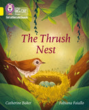 BIG CAT L&S_THRUSH NEST
