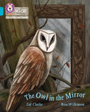 BIG CAT L&S_THE OWL MIRROR