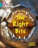 BIG CAT L&S_THE RIGHT BITE