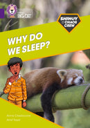 BIG CAT_SHINOY_WHY SLEEP?