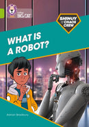 BIG CAT_SHINOY_ROBOT?