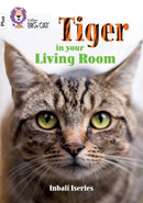 BIG CAT_TIGER IN ROOM