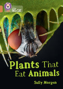 BIG CAT_PLANTS EAT ANIMALS