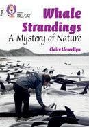Whale Strandings: A Mystery of Nature : Band 10+/White Plus-9780008485573