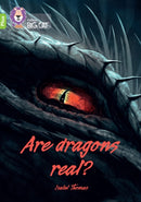 BIG CAT_ARE DRAGONS REAL
