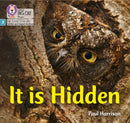 BIG CAT LW L&S _IT IS HIDDEN
