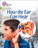 BIG CAT LW L&S _EAR HEAR