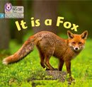 BIG CAT LW L&S _IT IS A FOX
