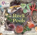 Rock Pools : Phase 3 Set 1-9780008504151