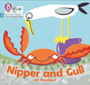 Nipper and Gull : Phase 3 Set 2-9780008504472