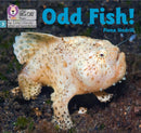 BIG CAT LW L&S _ODD FISH