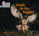 Owls in the Night : Phase 3 Set 2-9780008504502