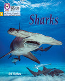 Sharks : Phase 5 Set 1-9780008504625