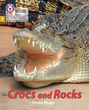 BIG CAT LW L&S _CROCS ROCKS