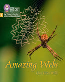 BIG CAT LW L&S_AMAZING WEBS