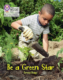 BIG CAT LW L&S_GREEN STAR