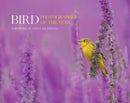 BIRD PHOTOGRAPHER_BIRD PHOT HB