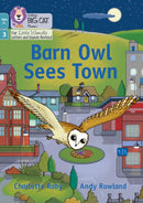 Barn Owl Sees Town : Phase 3 Set 1 Blending Practice-9780008551759