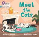 BIG CAT LW L&S MEET THE CATS