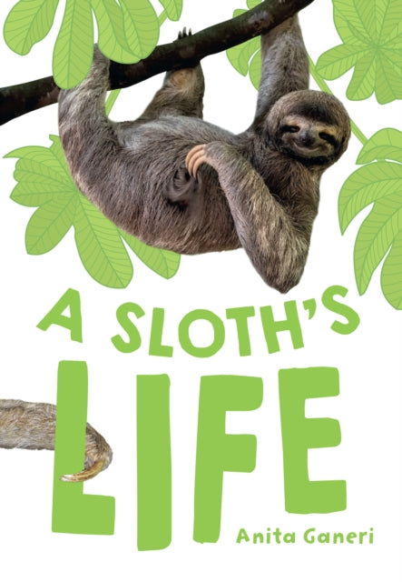 A Sloth's Life : Fluency 7-9780008681173