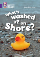 BIG CAT_WHAT''S WASHED UP