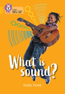 BIG CAT_WHAT IS SOUND