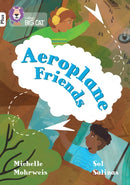 BIG CAT_AEROPLANE_FRIENDS