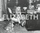 TIMES ELIZABETH IN PHOTOS HB